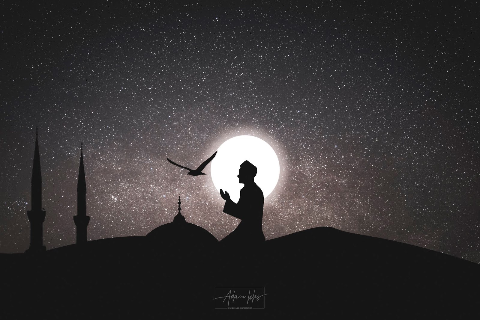 المستوى الاول